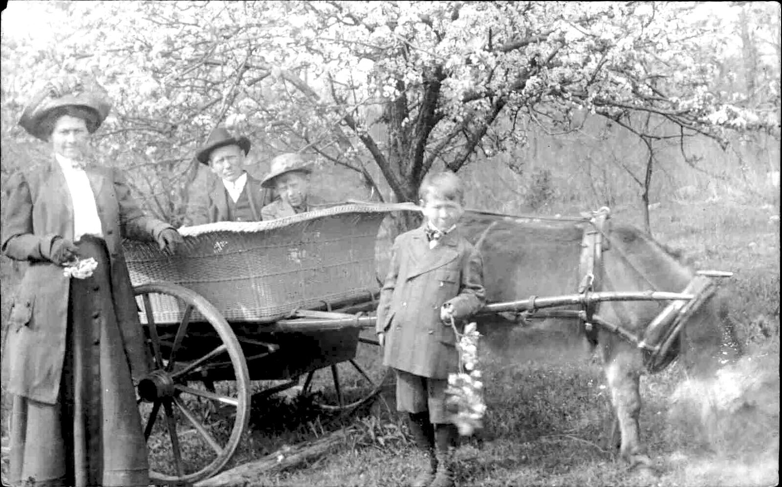 Family Riding A Mule Drawn Wagon, Dillon Park Section Of New Rochelle NY, Westchester County c1909