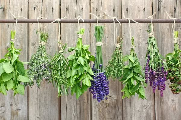 Herbs and Cures