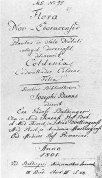 Title page of Jane Colden's botanical manuscript