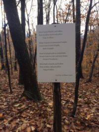 Poetry-Trail