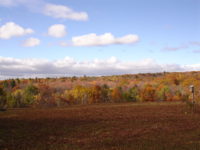 Steepletop-Autumn