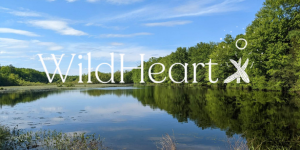 WildHeart Logo with Lake Background