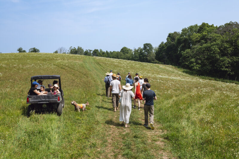 farm crawl stargazing field